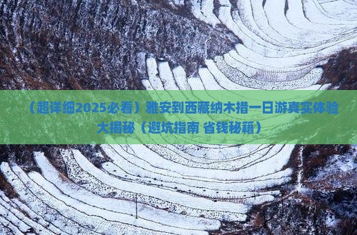雅安到西藏纳木措一日