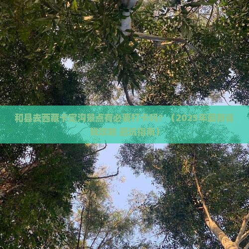 和县去西藏卡定沟景点