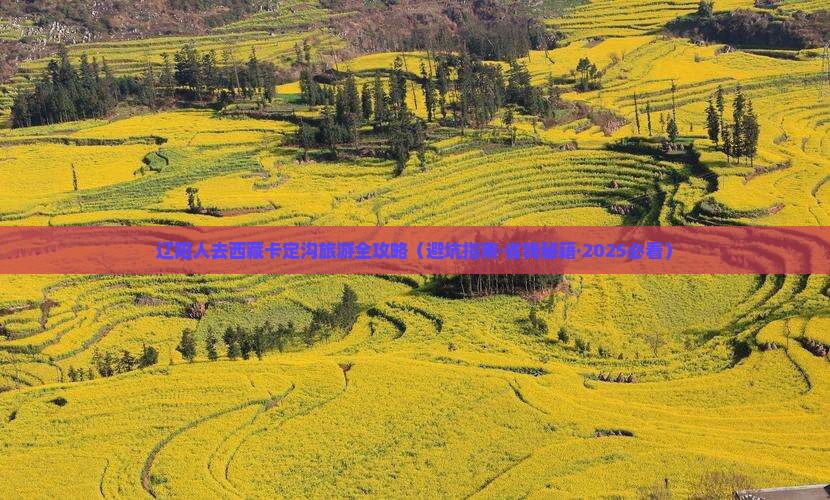 辽阳去西藏卡定沟必去地 辽阳去西藏卡定沟必去地