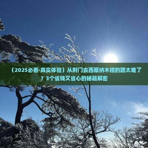 荆门去西藏纳木措旅行社