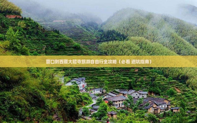 营口去西藏大昭寺自由团