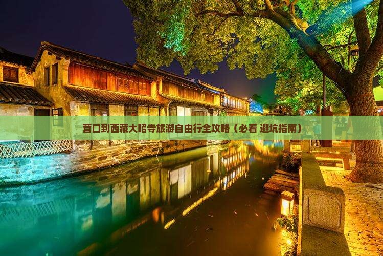 营口去西藏大昭寺自由团