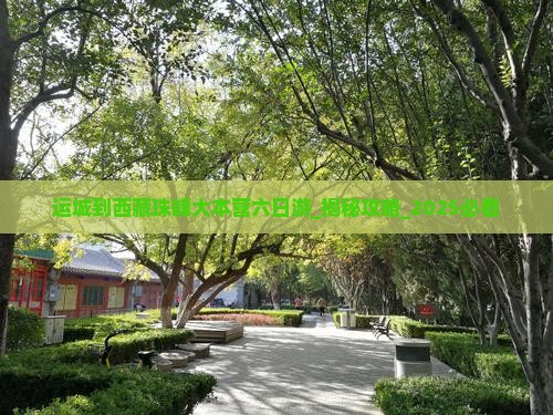 运城到西藏珠峰大本营六日游