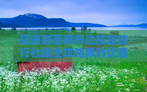昭通到西藏布达拉宫旅行社