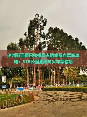 泸州到西藏巴松措景点