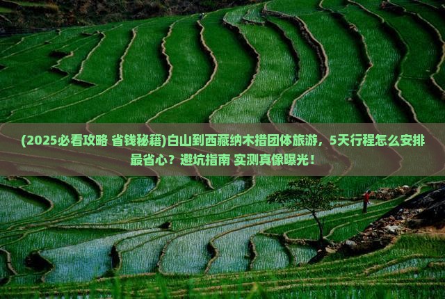 白山到西藏纳木措团体旅游