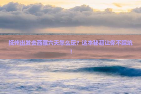 抚州去西藏六日游