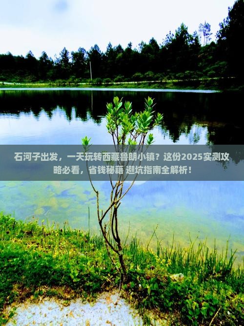 石河子去西藏鲁朗小镇一日