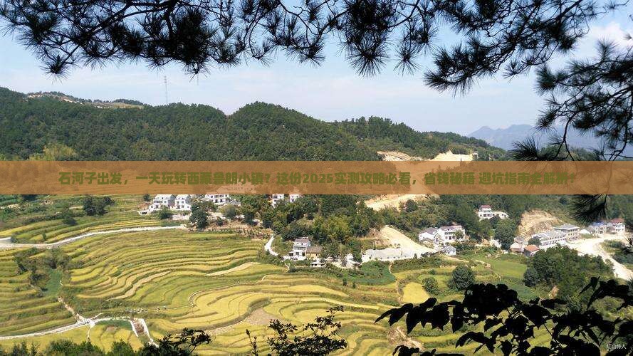 石河子去西藏鲁朗小镇一日