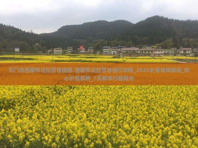 天门去西藏布达拉宫自由团