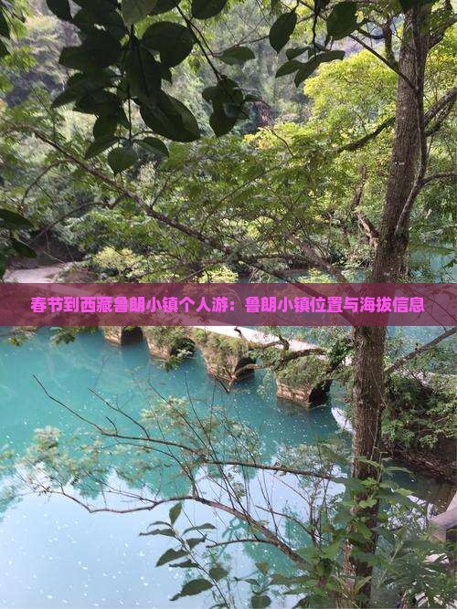 春节到西藏鲁朗小镇个人游