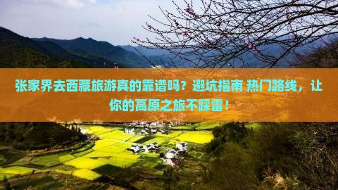 张家界去西藏旅游