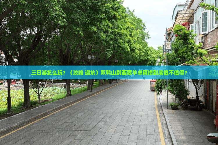 双鸭山到西藏羊卓雍措三日游
