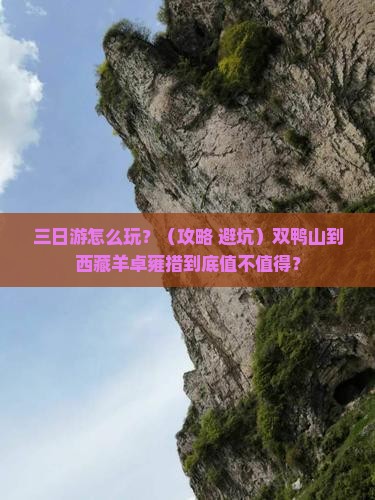 双鸭山到西藏羊卓雍措三日游