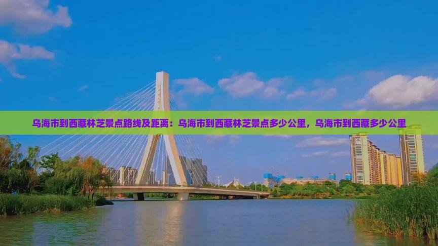 乌海市到西藏林芝景点