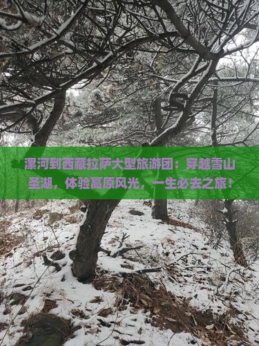 漯河到西藏拉萨大型旅游团