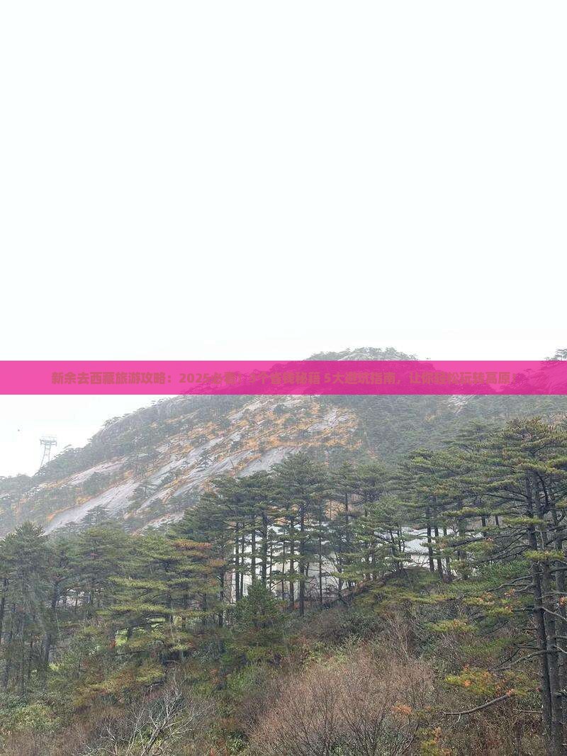 新余去西藏旅游