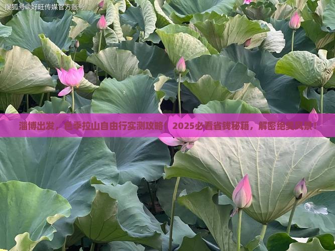 淄博到西藏色季拉山自由团
