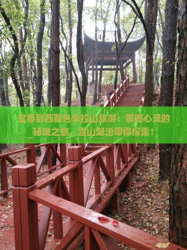 宜春到西藏色季拉山旅游