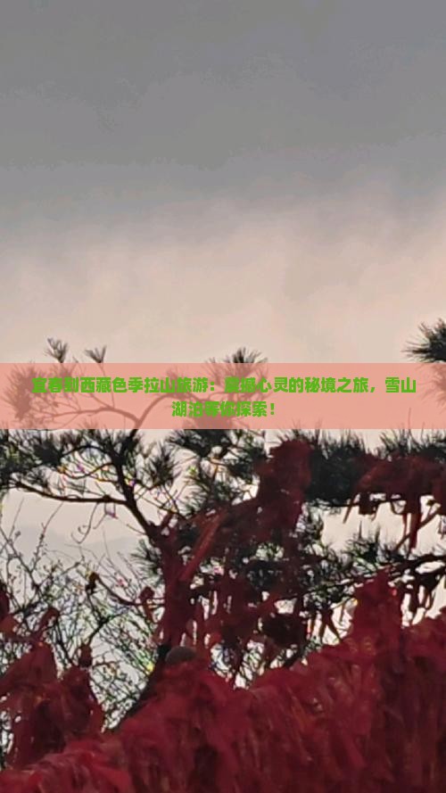 宜春到西藏色季拉山旅游