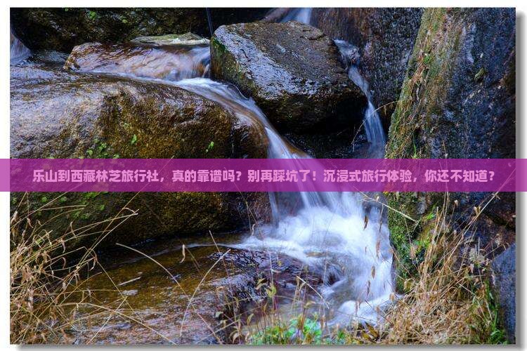 乐山到西藏林芝旅行社