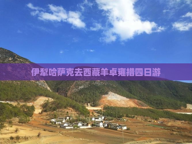 伊犁哈萨克去西藏羊卓雍措四日游