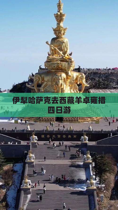 伊犁哈萨克去西藏羊卓雍措四日游