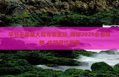 毕节去西藏大昭寺哪里玩