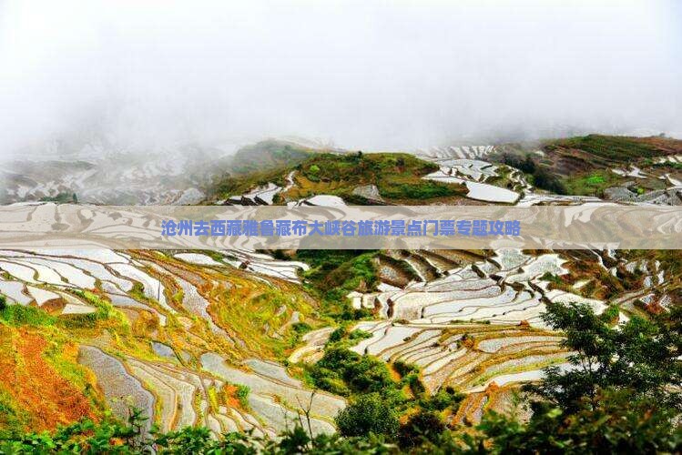 沧州去西藏雅鲁藏布大峡谷门票