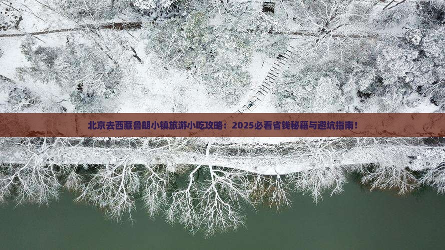 北京去西藏鲁朗小镇旅游小吃