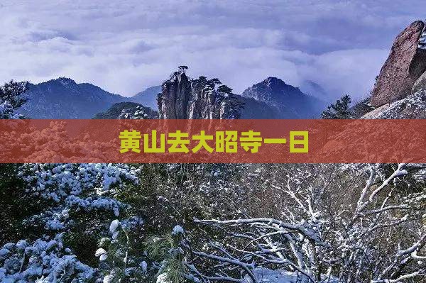 黄山去西藏大昭寺一日