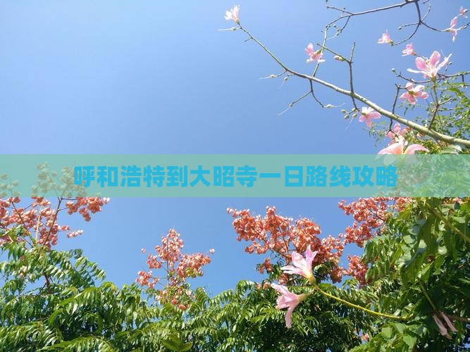 呼和浩特到西藏大昭寺一日