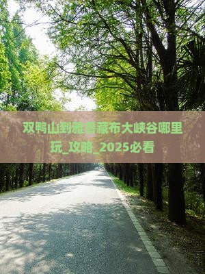 双鸭山到西藏雅鲁藏布大峡谷哪里玩