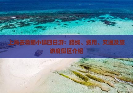 上海去西藏鲁朗小镇四日游