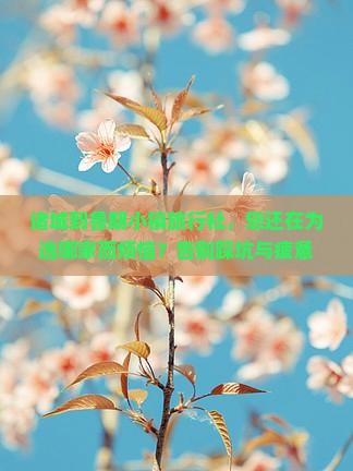 诸城到西藏鲁朗小镇旅行社