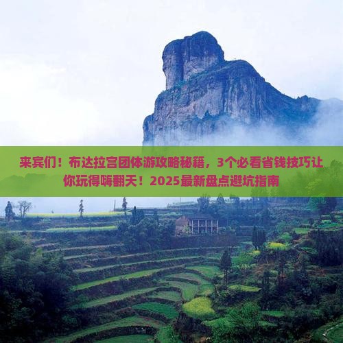 来宾到西藏布达拉宫团体旅游
