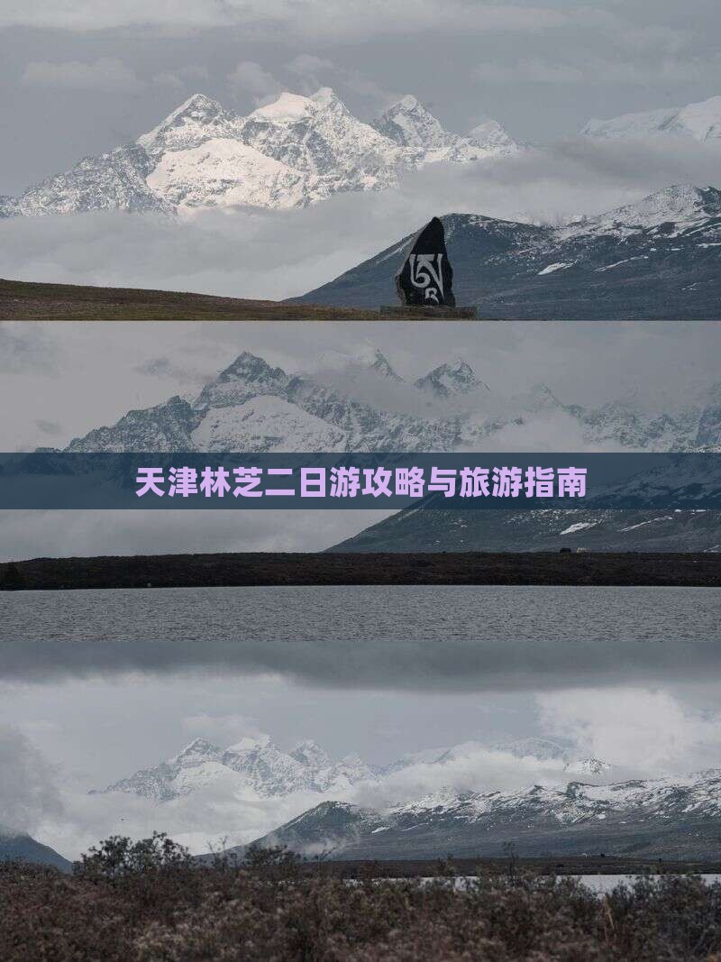 天津到西藏林芝二日游