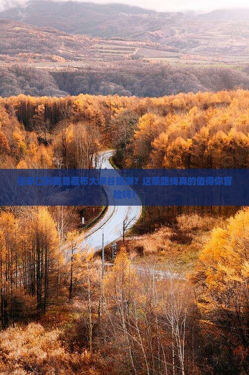 张家口到西藏雅鲁藏布大峡谷旅游