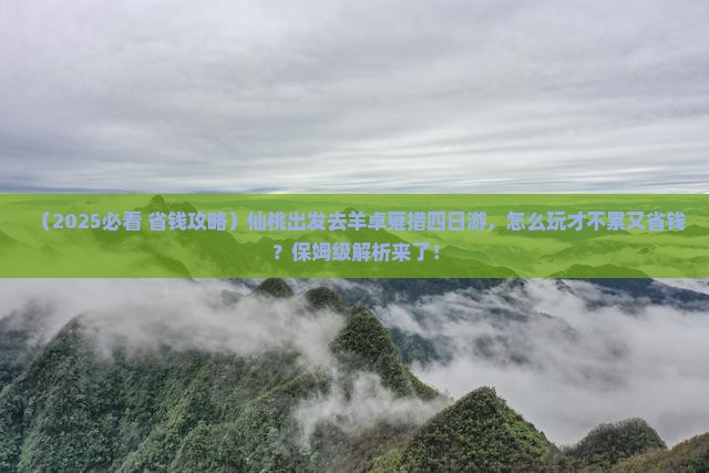 仙桃到西藏羊卓雍措四日游