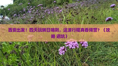 西安到西藏日喀则四日游