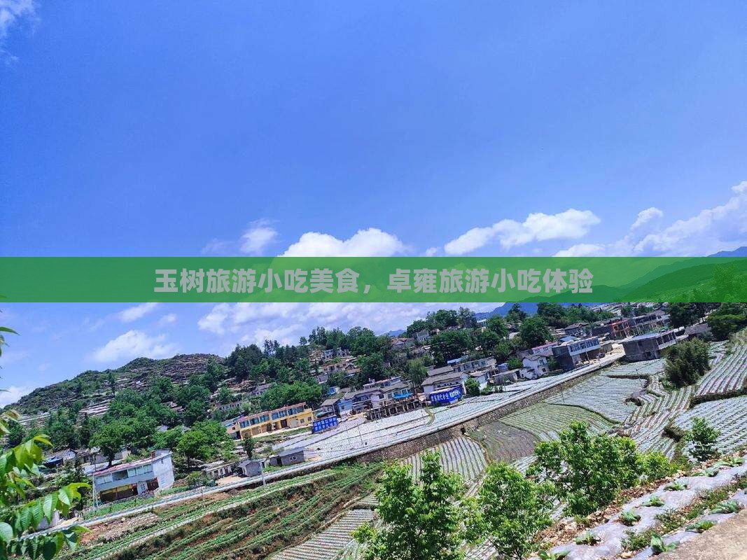 玉树去西藏羊卓雍措旅游小吃