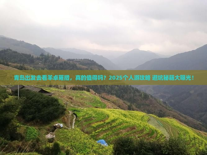 青岛到西藏羊卓雍措个人游