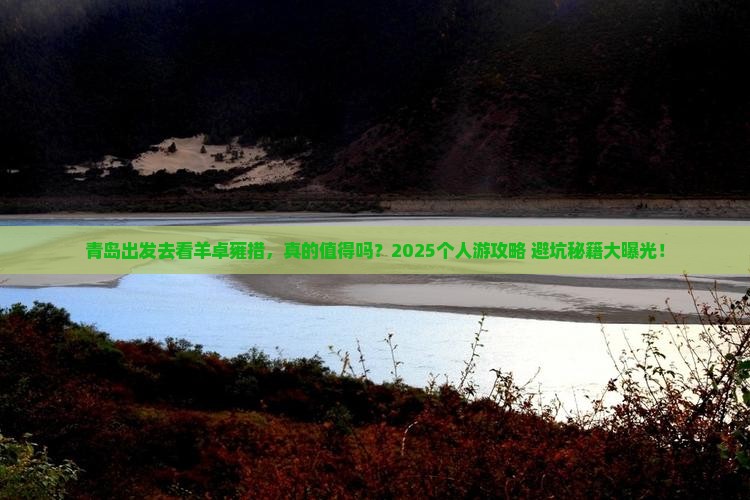 青岛到西藏羊卓雍措个人游