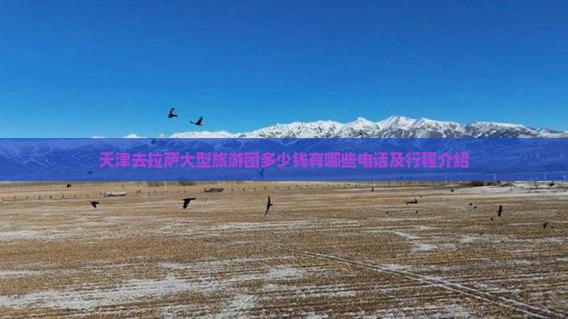 天津去西藏拉萨大型旅游团