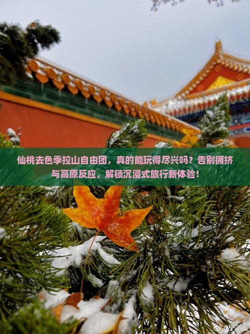 仙桃去西藏色季拉山自由团