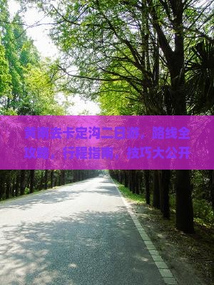 黄南去西藏卡定沟二日游