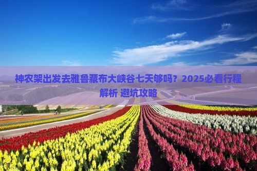 神农架去西藏雅鲁藏布大峡谷七日游