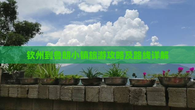 钦州到西藏鲁朗小镇攻略