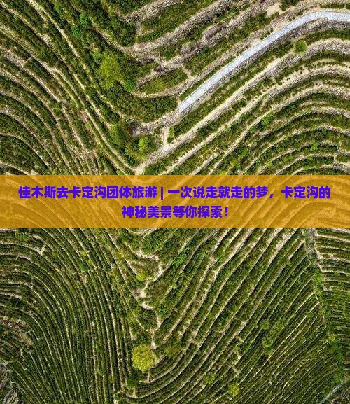 佳木斯去西藏卡定沟团体旅游