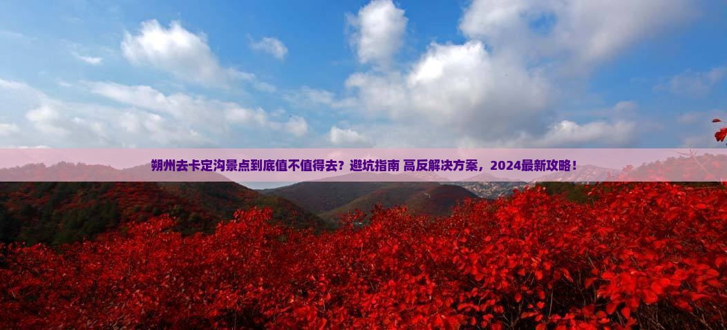 朔州去西藏卡定沟景点